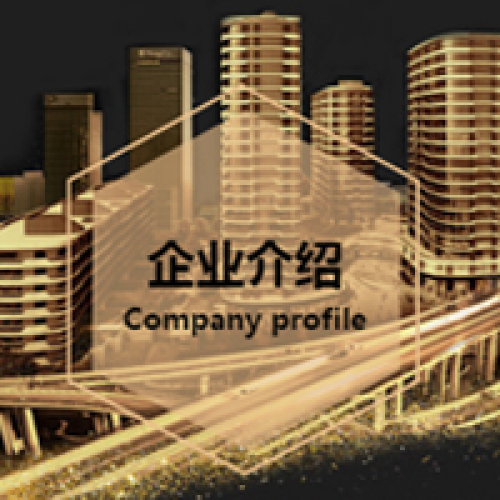 藏象集团介绍