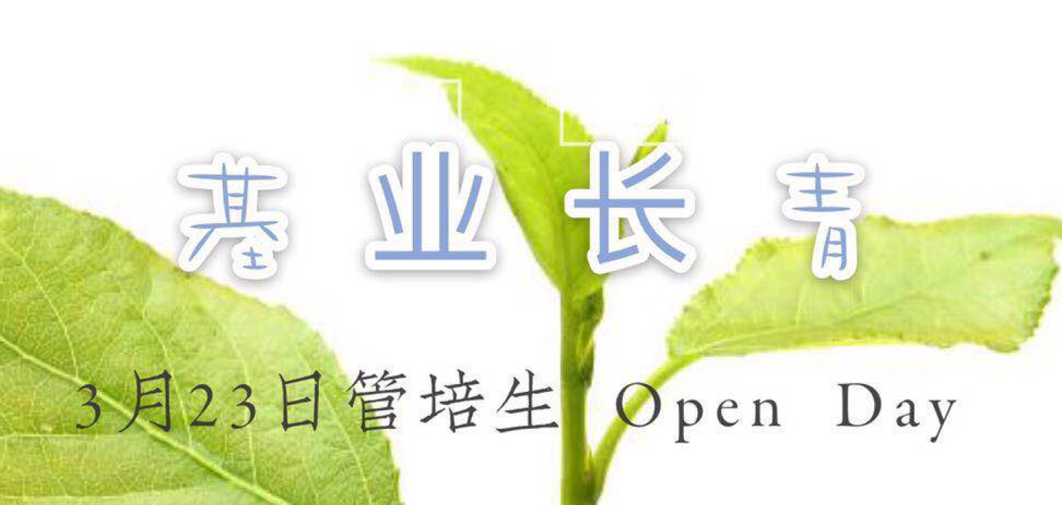 管培生Open Day