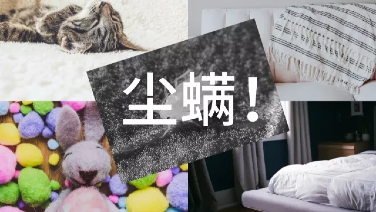 爱尚理家专业除螨