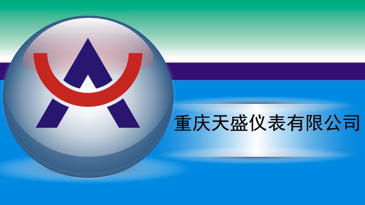 重慶天盛儀表有限公司