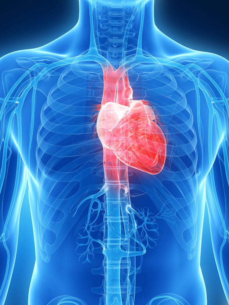 占每年总死亡人数1/3 死于心脏疾病 "血栓是隐蔽杀手 所有人都应具备