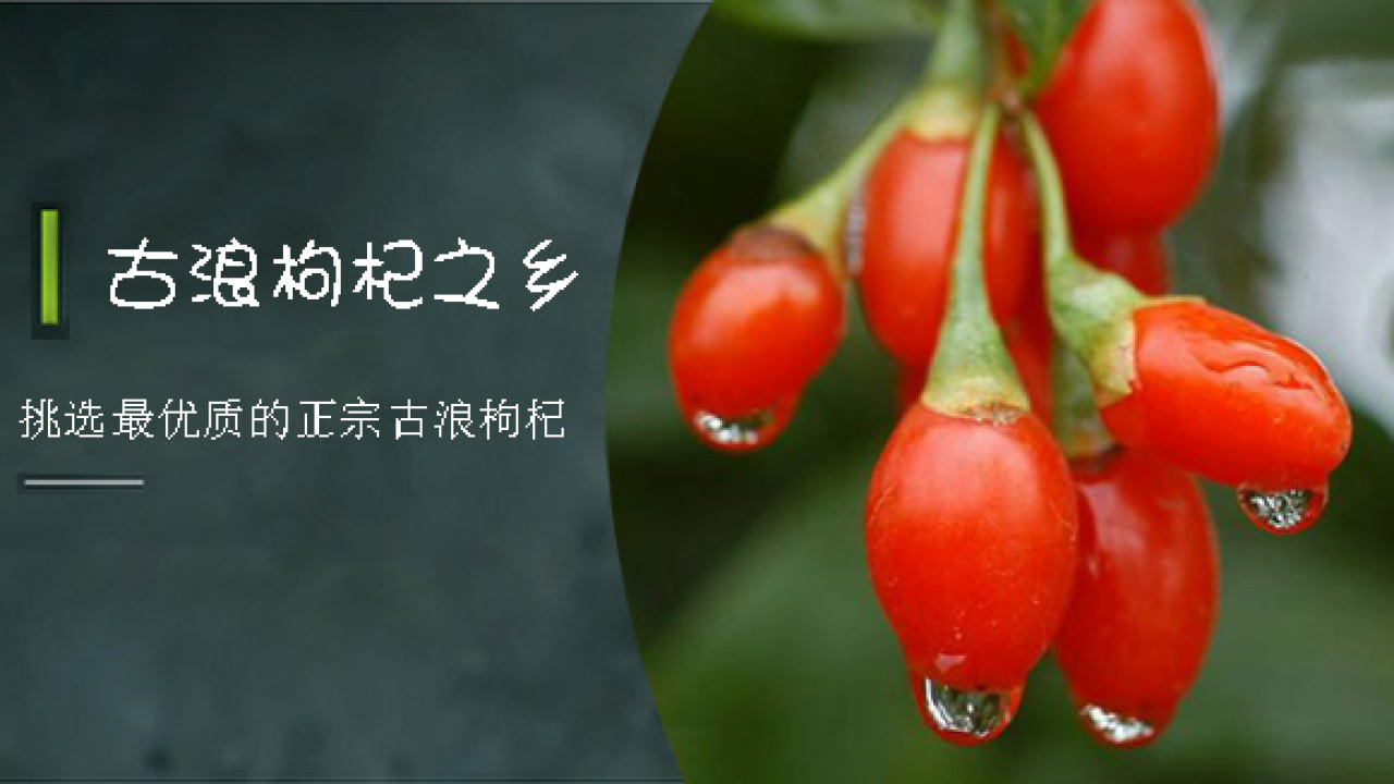 原味古浪 給你點(diǎn)顏色看看