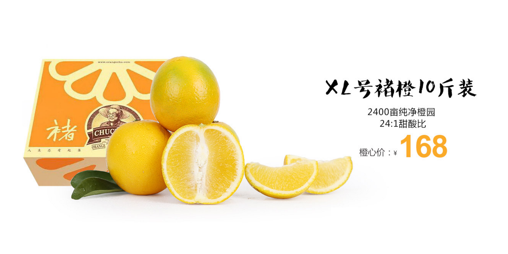 褚橙驾到