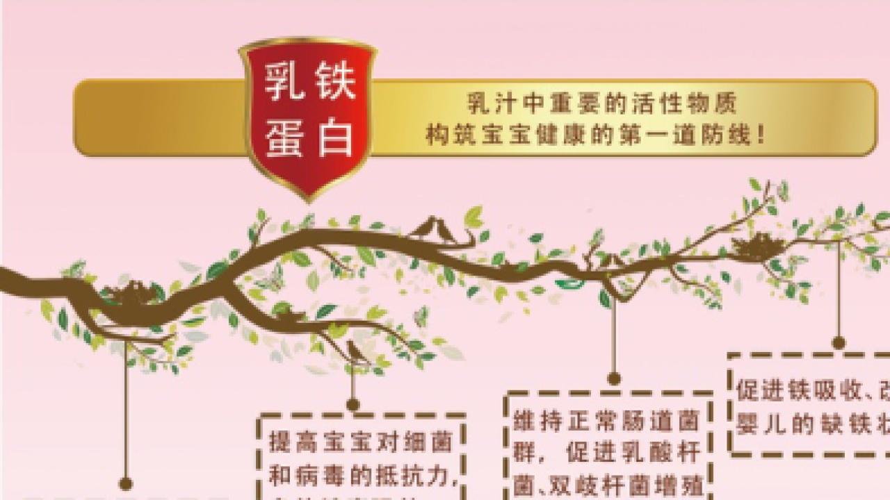 益膳均衡營(yíng)養(yǎng)系列