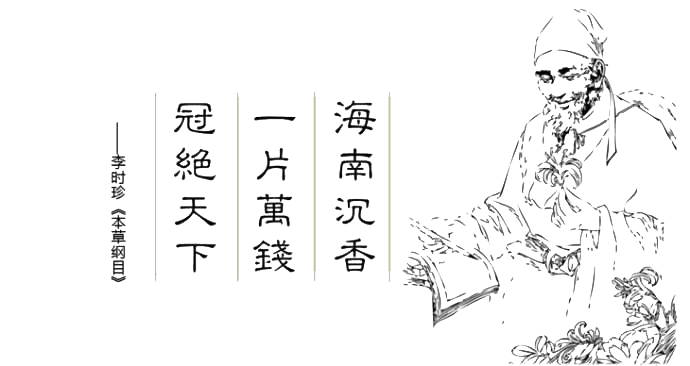 沉香树认养