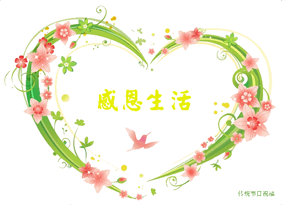 感恩节请收下我的祝福!