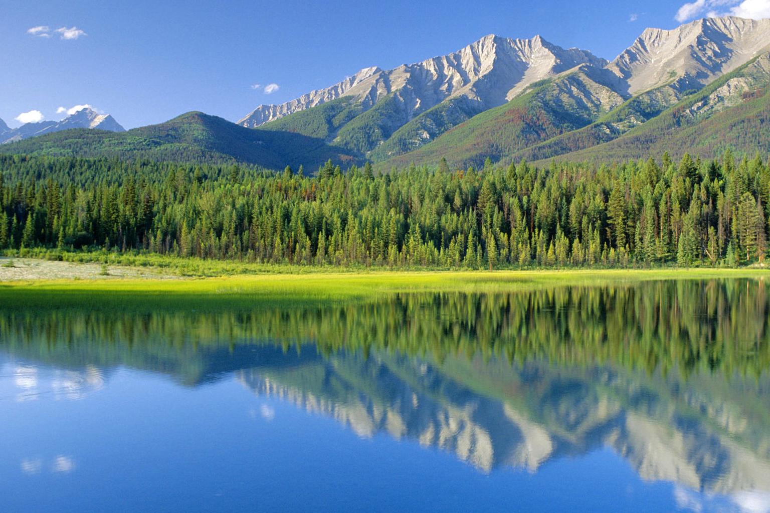 林 四面环山/山青水秀 苗 好鸡/产好肉 跑 占地宽广/肆意玩爽 翔