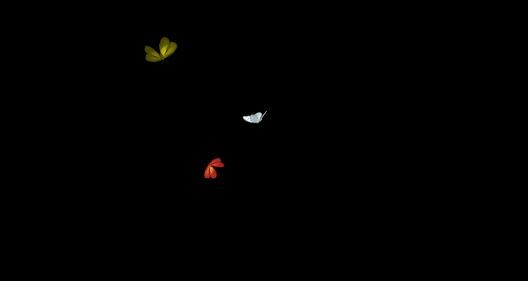 彭丽缓演唱《月光下的凤尾竹》第一次听,太漂亮太好听