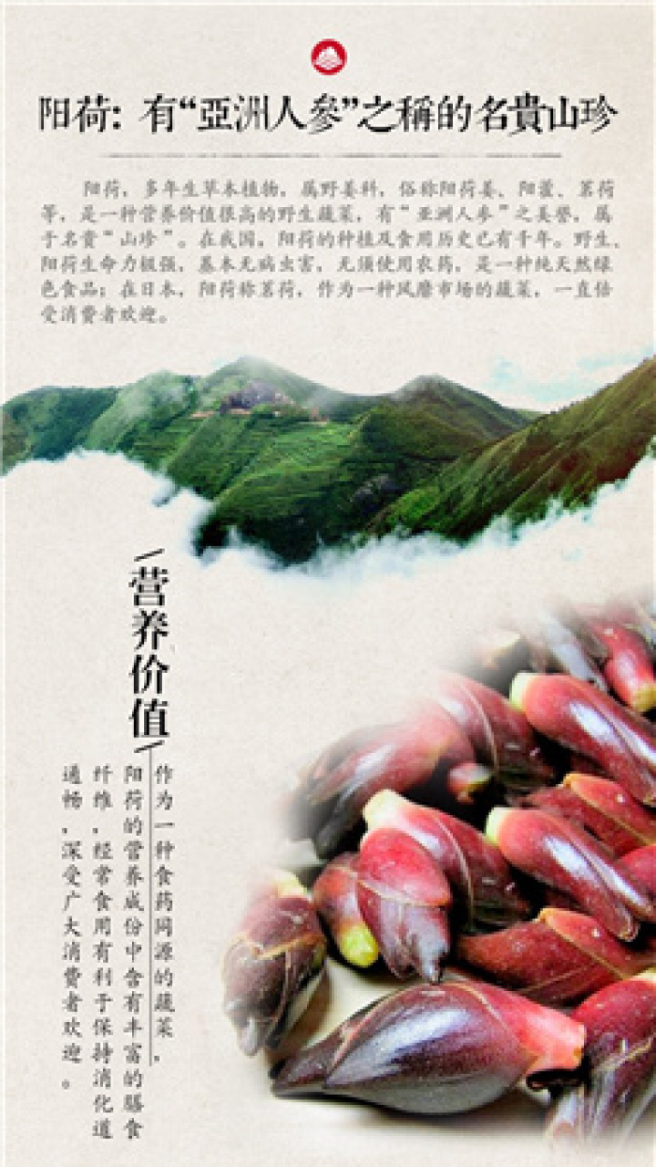 陽荷：大別山名貴山珍