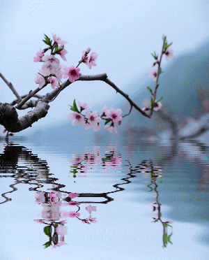 晨运 电视剧 高清正版在线观看–爱奇艺