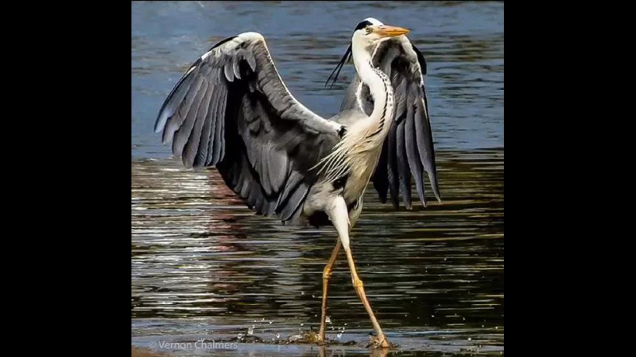 让你知道，什么叫大开眼界！