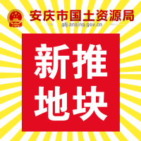 安庆市国土资源局国有建设用地使用权出让公告　        