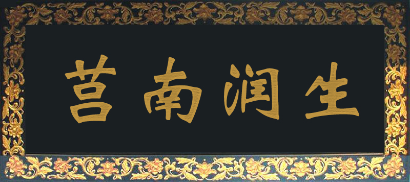 莒南润生保险代理公司