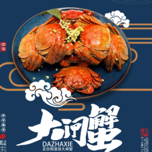 正宗陽澄湖大閘蟹來了