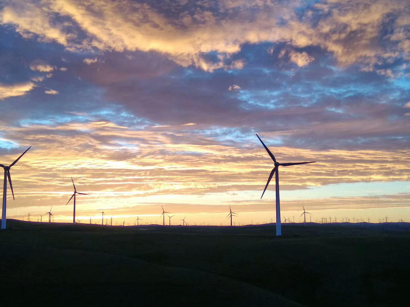 北方大区EHS部领导莅临蒙西检修基地检查指导工作