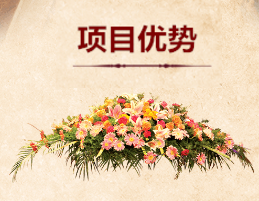 項目優勢