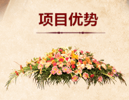 項(xiàng)目?jī)?yōu)勢(shì)