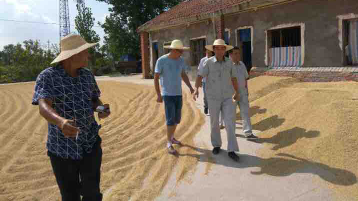 沙洋分公司收购小短片