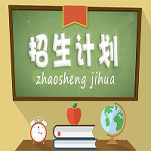 聚能&振風(fēng)教育寒假招生
