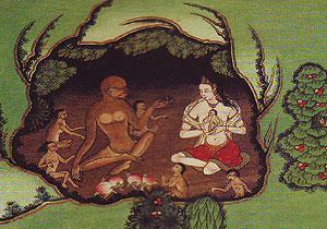 博大精深的藏医药文化（1）