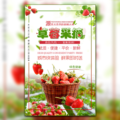凤凰众筹客服节-草莓采摘活动