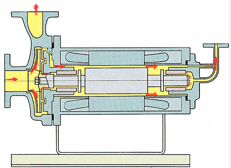 逆循环屏蔽泵结构图