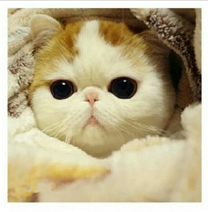 你还在寝室迷糊的睡瞌睡?