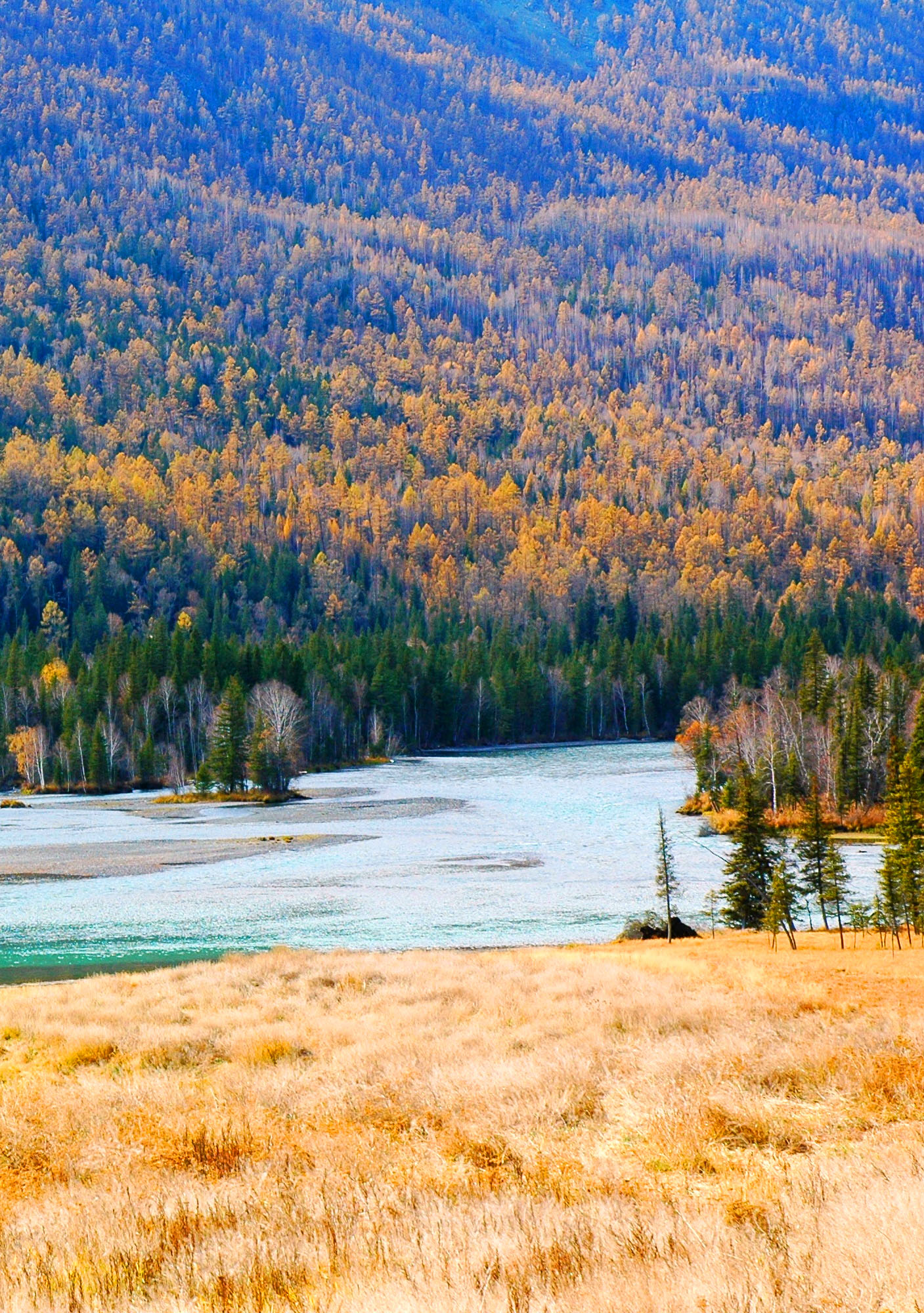 有品位 · 讲品质 · 懂情调 谁呀?