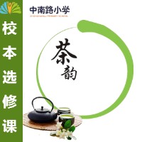 中南路小学校本选修课