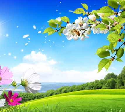 春风上巳天 桃瓣轻如翦_h5页面背景模板- 兔展h5作品