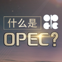 什么是OPEC?