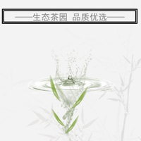中勐傳奇項(xiàng)目推廣