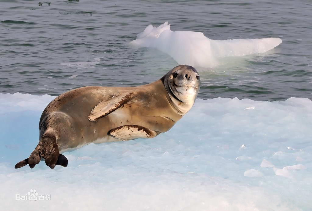 我是第1724位参加海翼环保行的用户