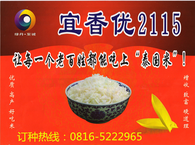 景福镇优质稻(宜香优2115)工程全面启动