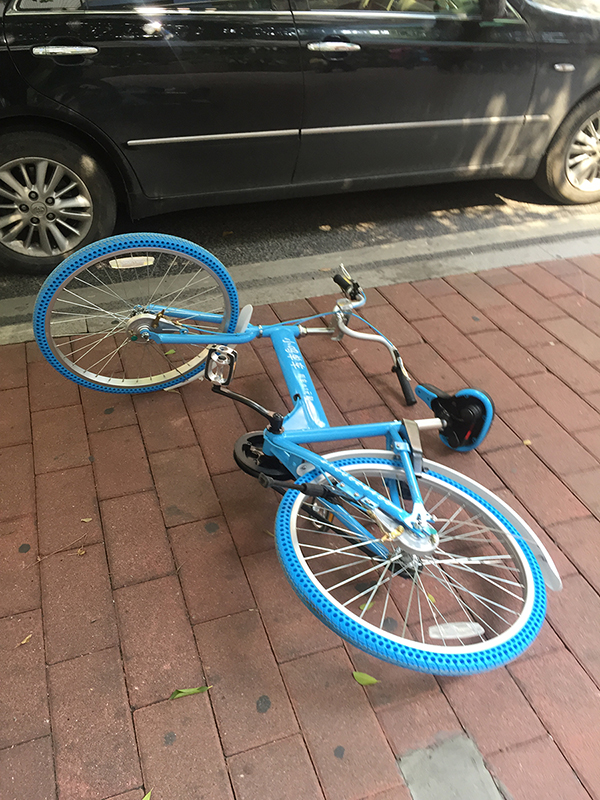 这是倒地"牺牲"的共享单车