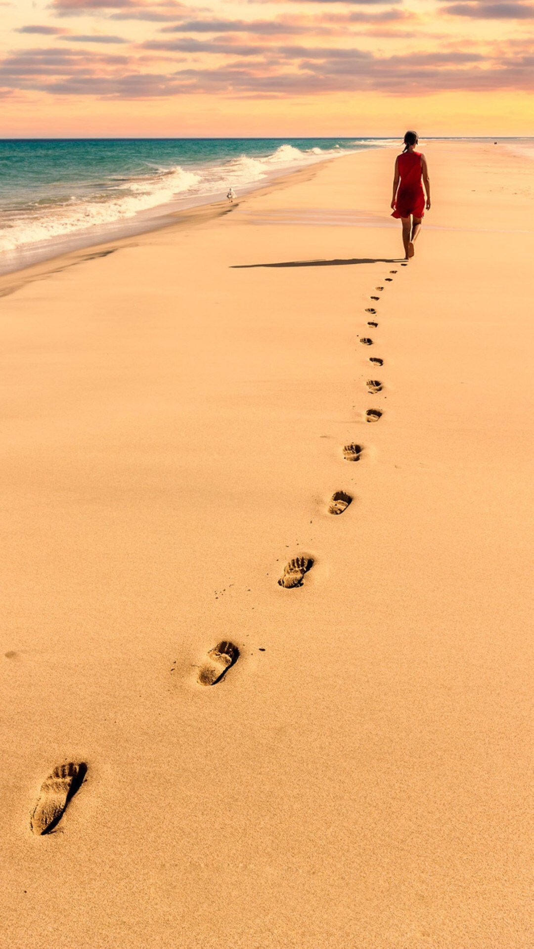 2017年点点赞春季战略座谈会