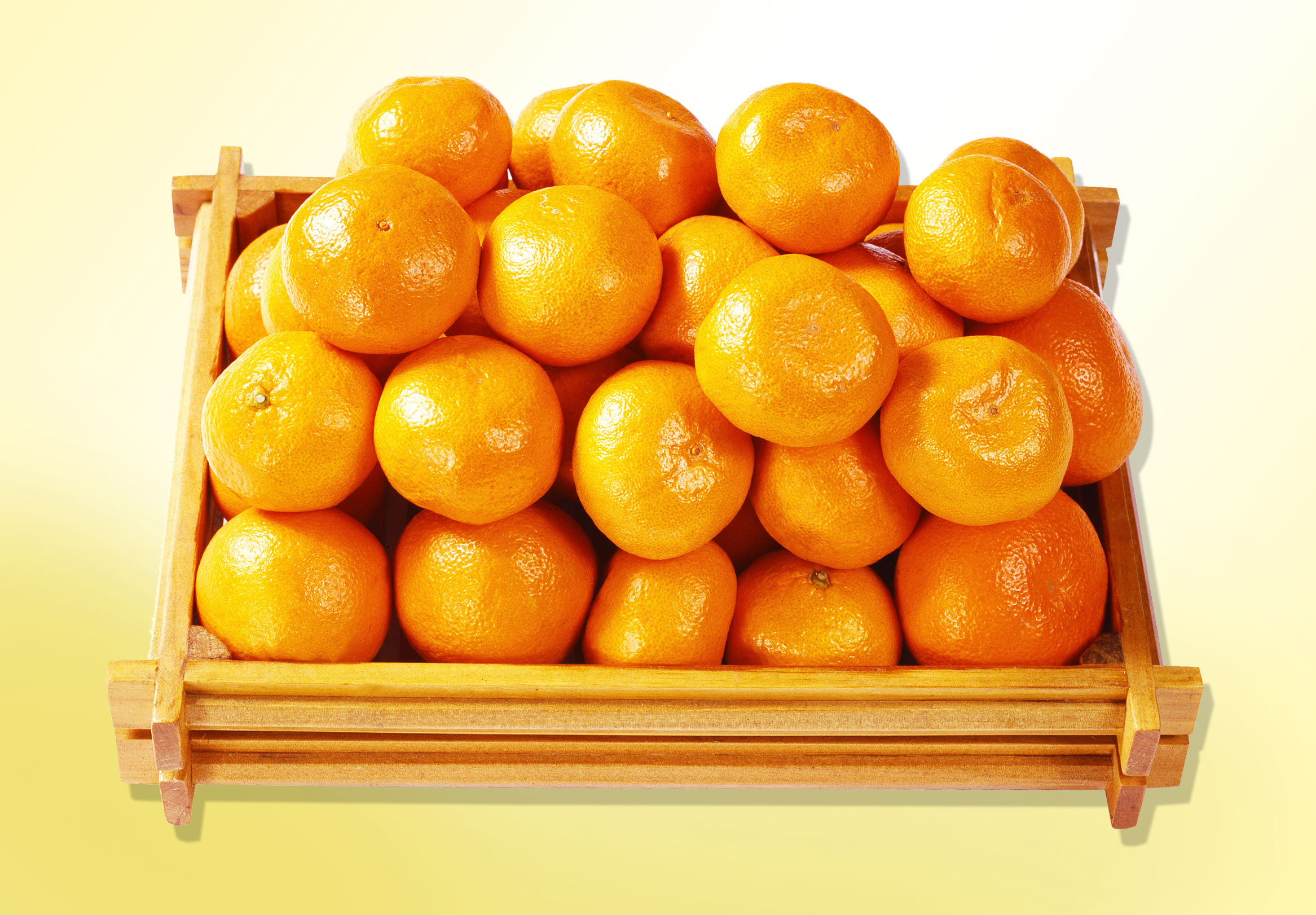 芦柑 柚子 惊爆价 惊爆价