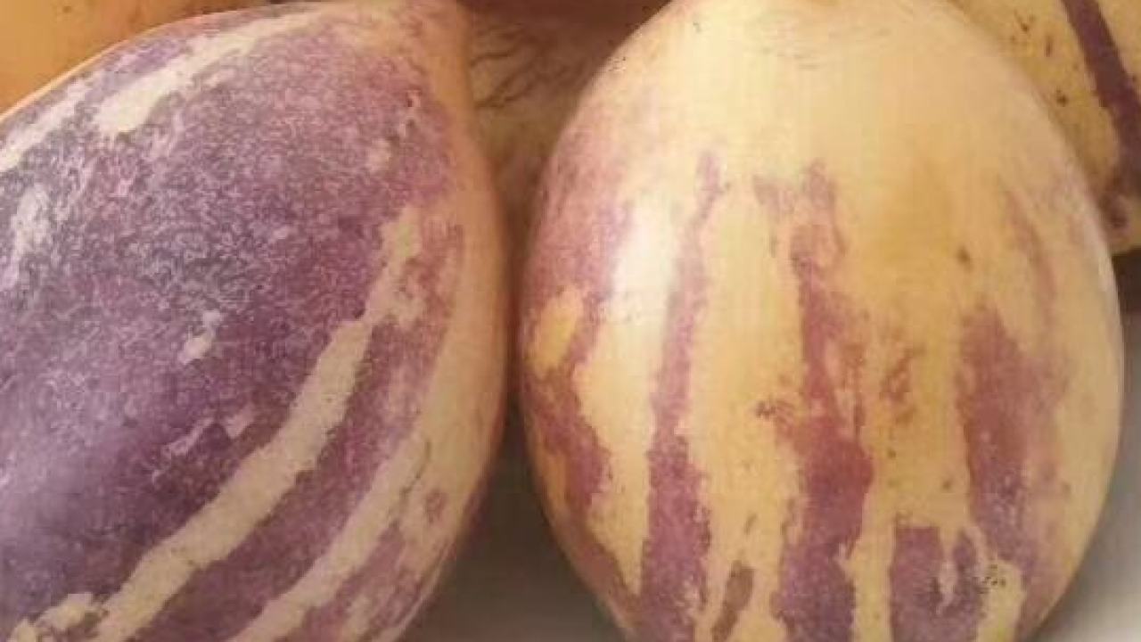 大漠仙果