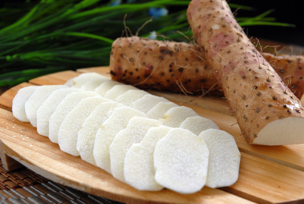 2016焦作怀山药媒体推介会