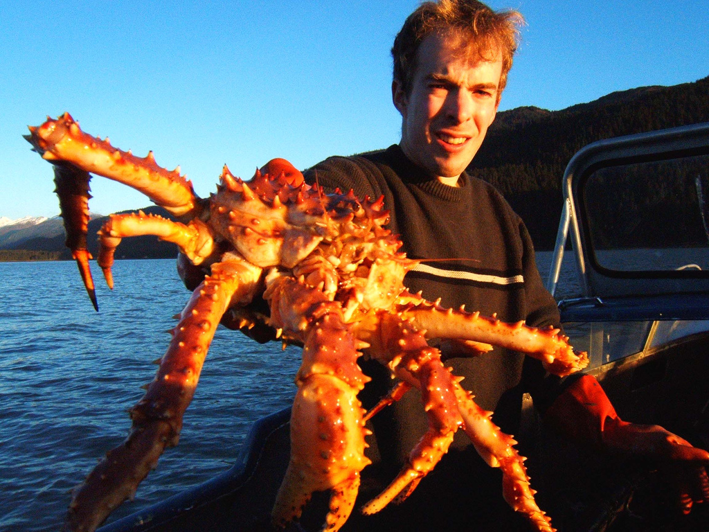 阿拉斯加帝王蟹