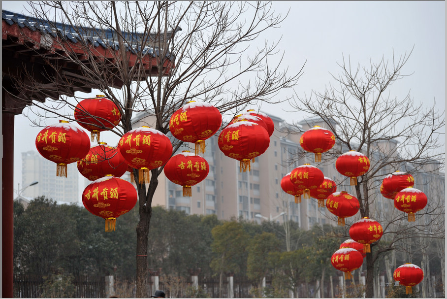 新春美景图片