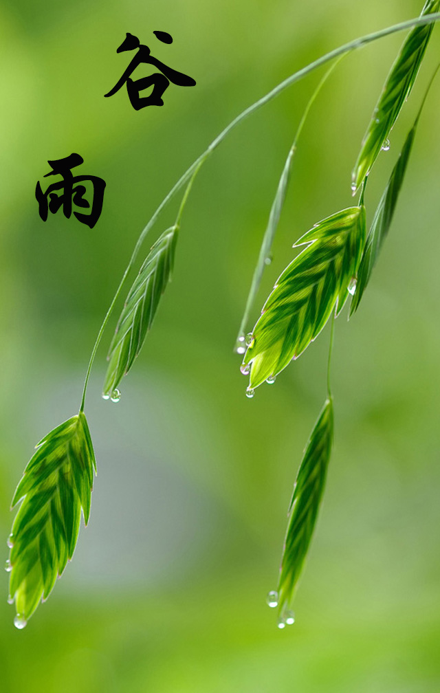 穀雨的祝福送給你!