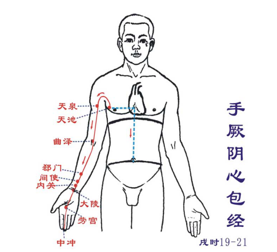 小诺私塾——经络与脏腑的联系