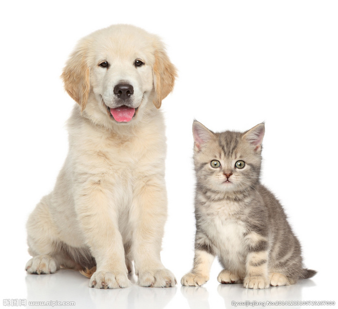 伊贝瓦黄金粮矮寨奇观景区杨林寨事件,快看.