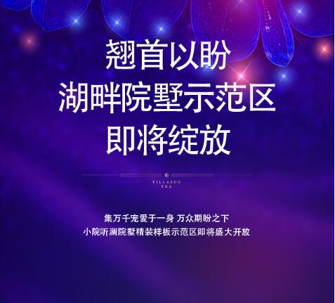 湖畔院墅，值得期待！