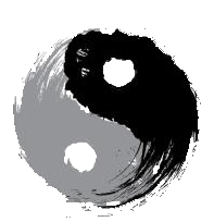 大道太极 和谐静功 李敬源