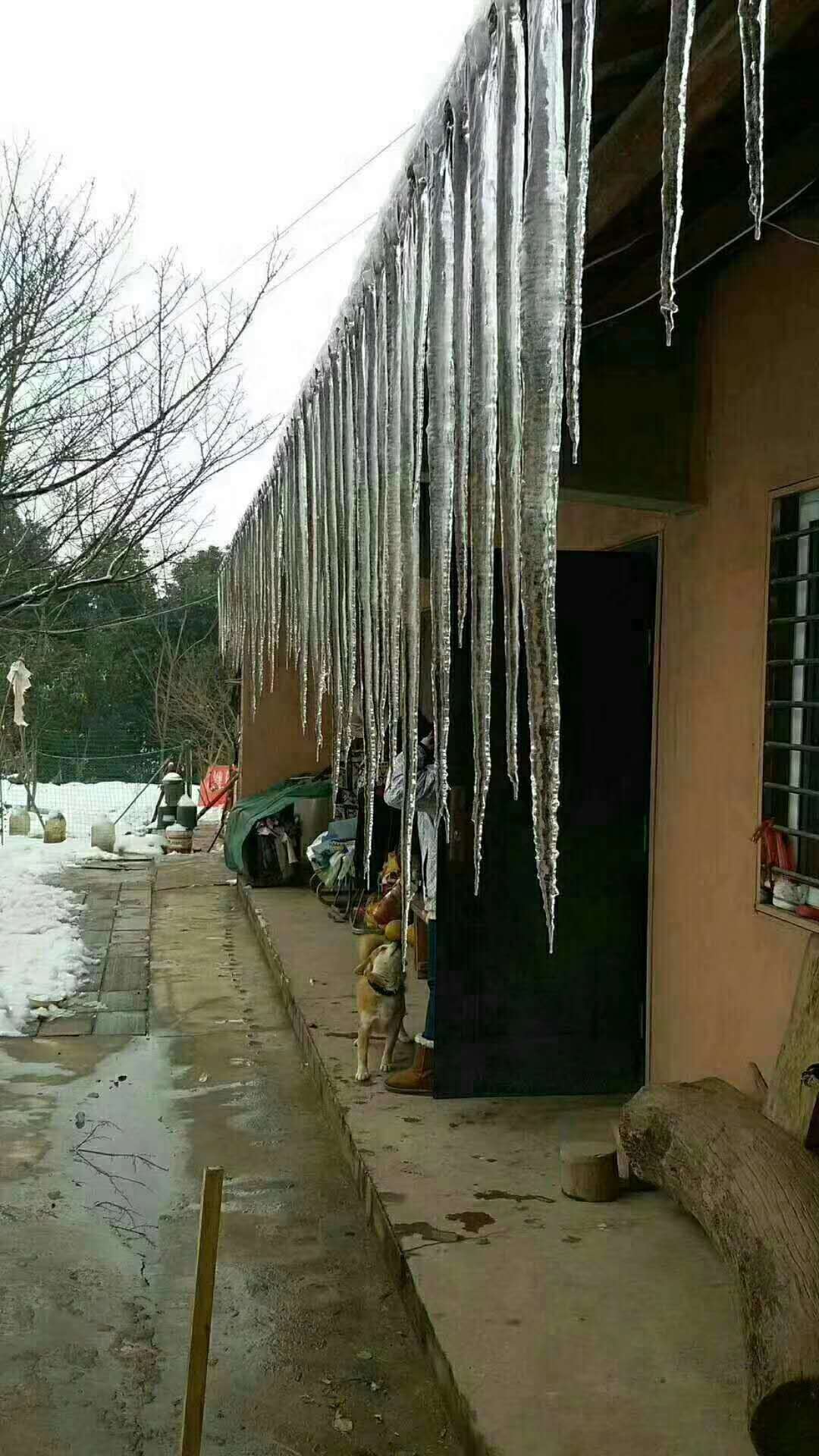 马革裹尸，冰雪亮剑，株洲移动雨雪冰冻天气通信保障