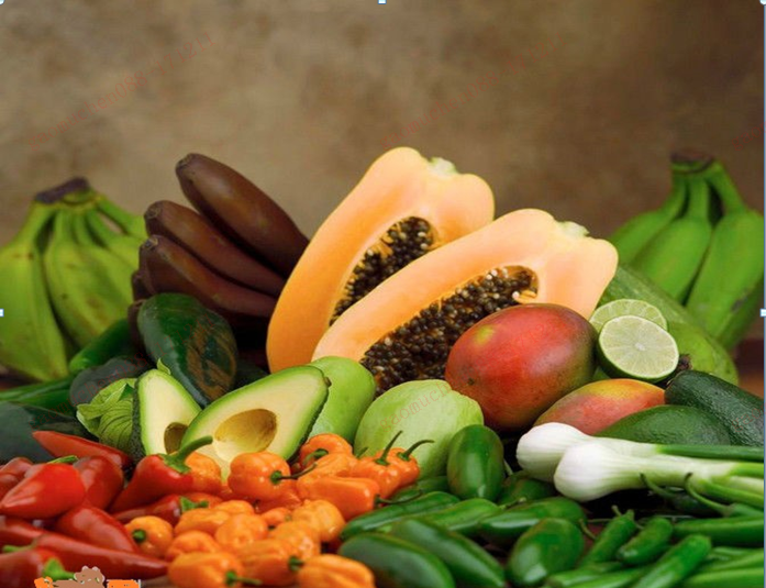 兰山区放心农副产品 隆重上市