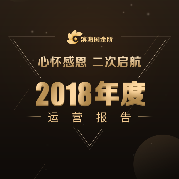 2018年度运营报告