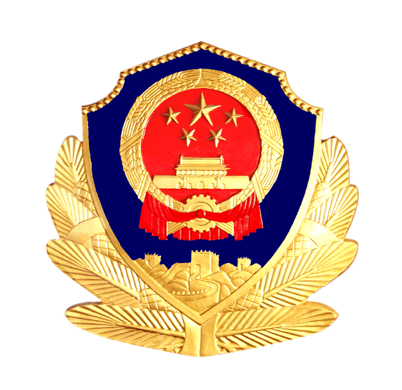 临河区公安局学习贯彻十九大精神